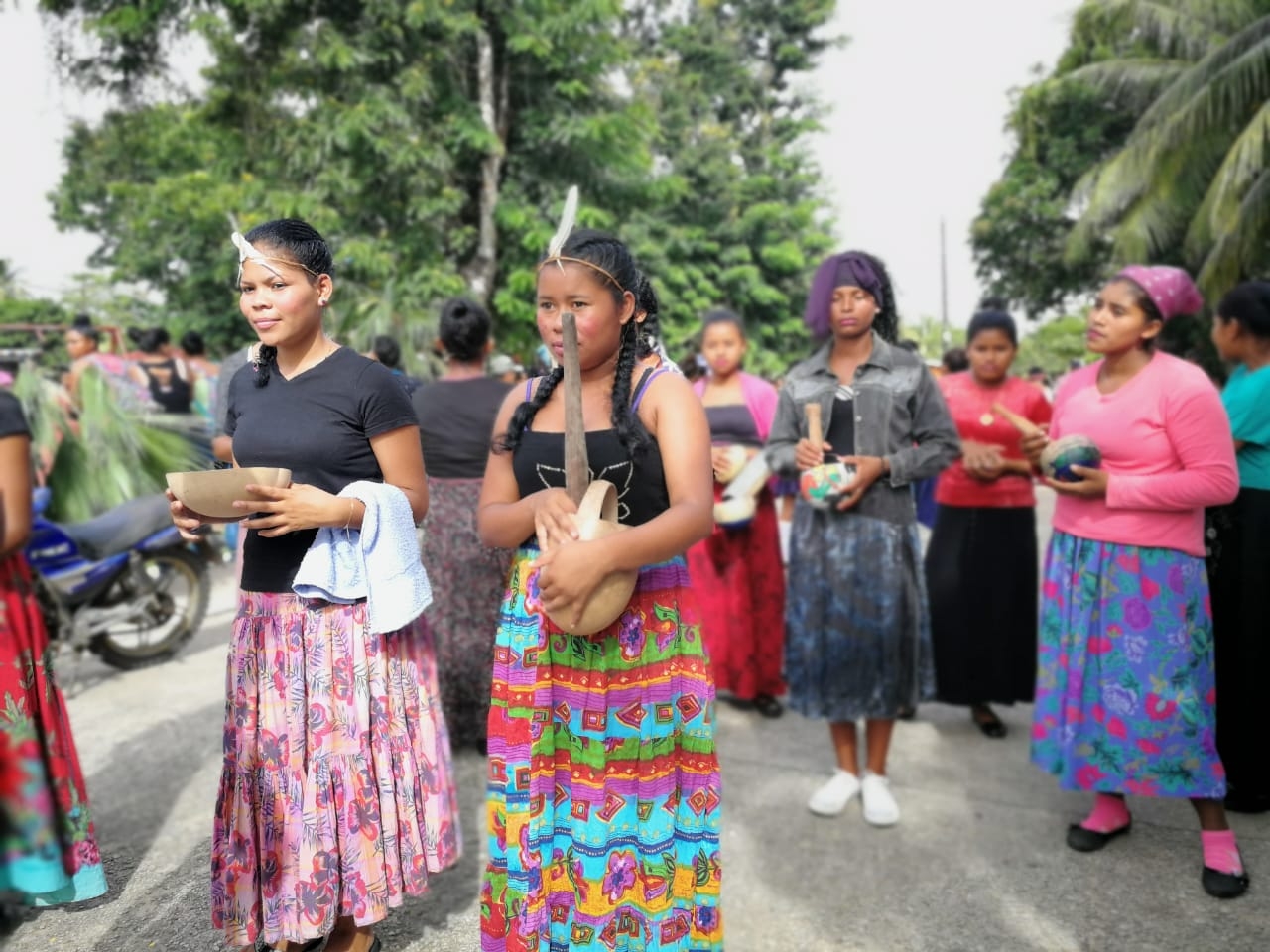 indigenas